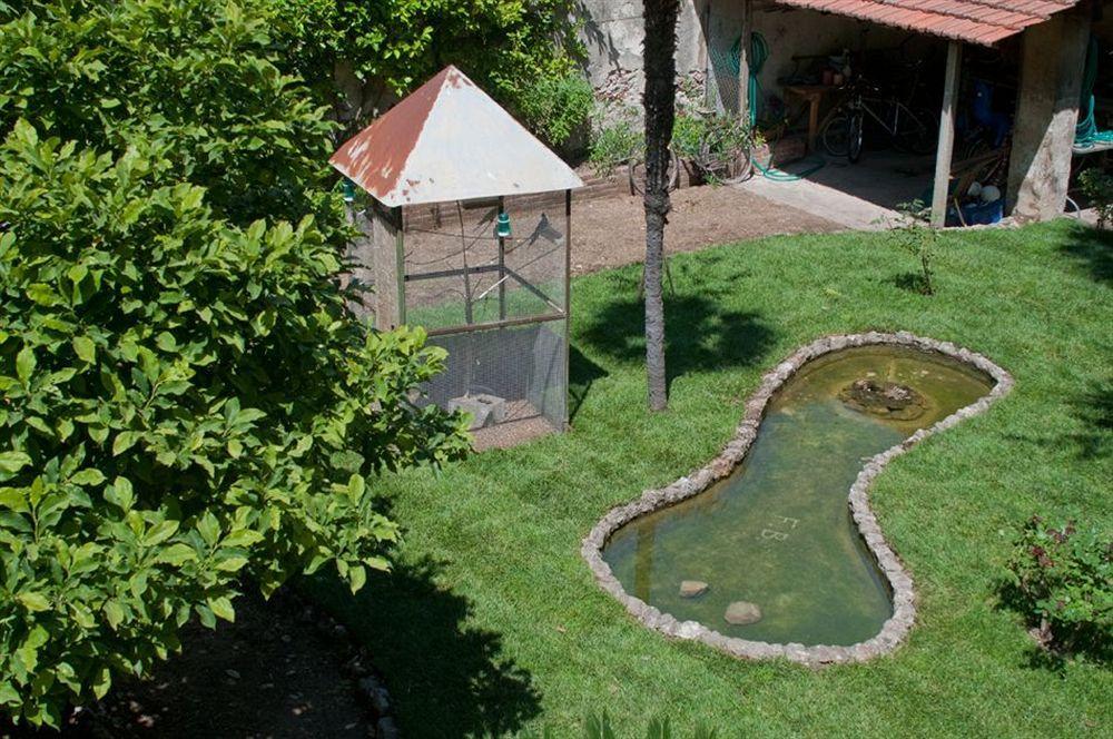 Borgo Largo 51 Bed & Breakfast ปิซา ภายนอก รูปภาพ