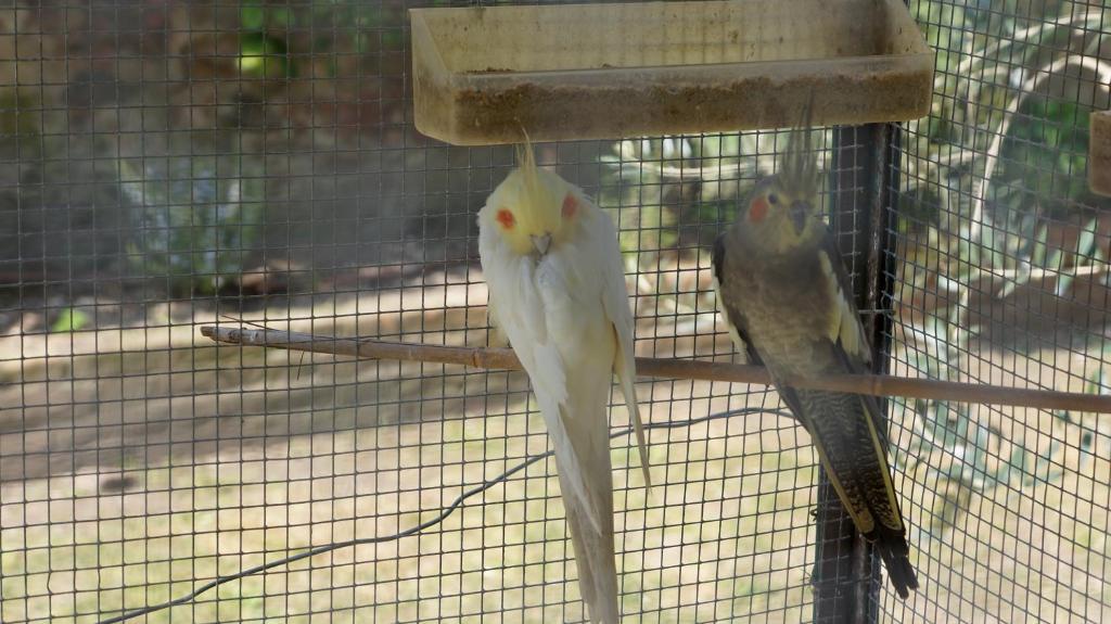 Borgo Largo 51 Bed & Breakfast ปิซา ภายนอก รูปภาพ